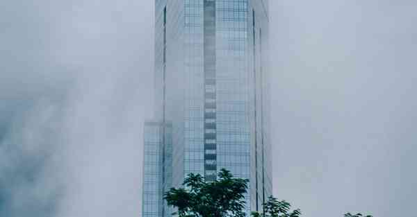 布谷加速器 下载