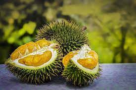 best durian